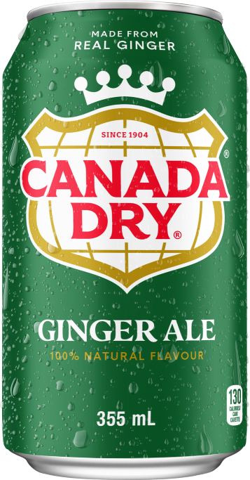gingerale cans 24/355ml