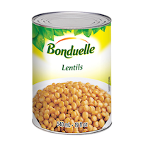 green lentils 24/540ml