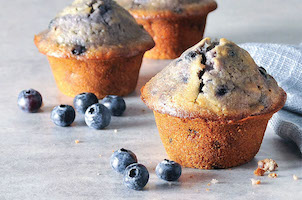 wild blueberry muffin mix frozen 8lb