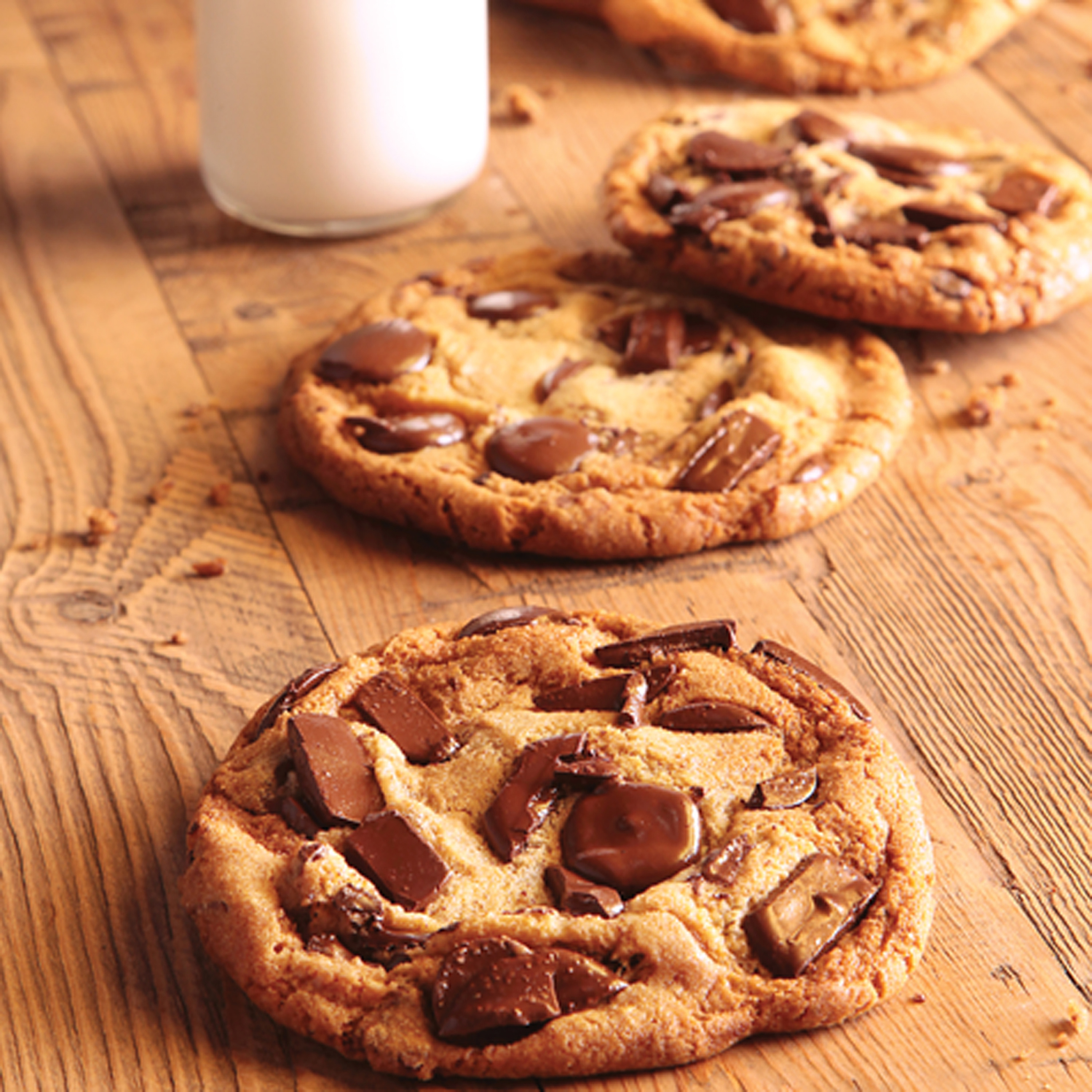 biscuit manifeste avec mcx de chocolat 4/81 un