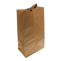 sacs papier brun 10 double 250/pk