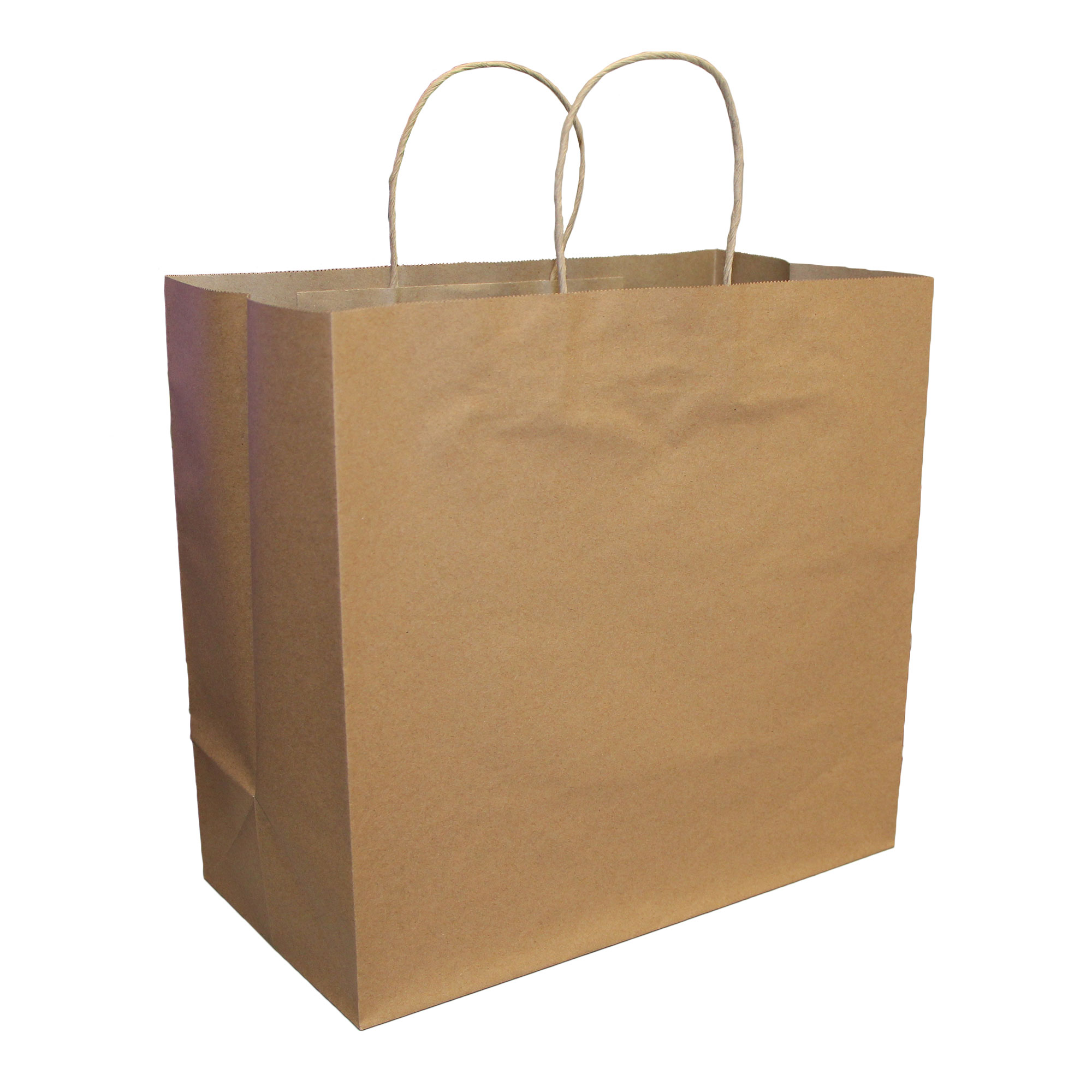 bistro bag w/handle 14x10x15.5 200/cs