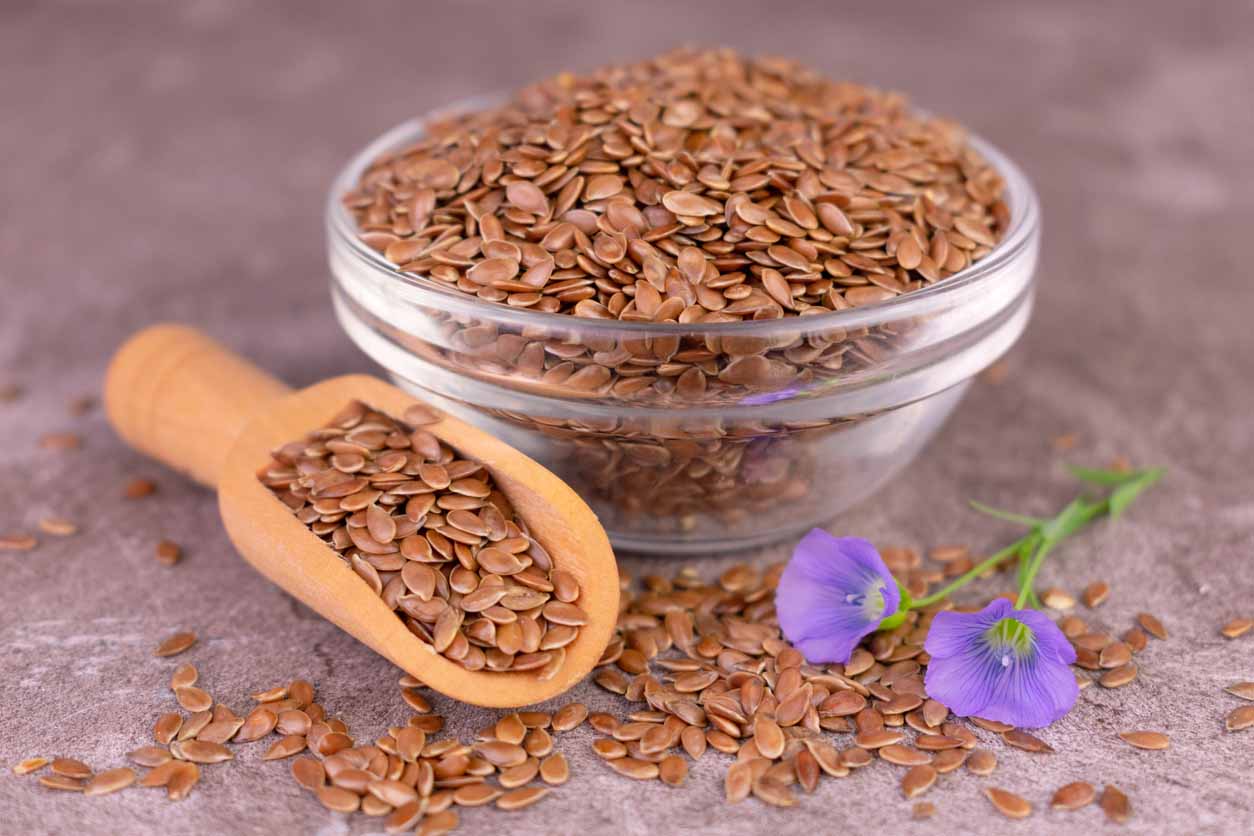 graines de lin brunes 3/1kg