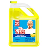 mr.clean all purpose cleaner 3/3.78l